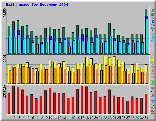 Daily usage for December 2024