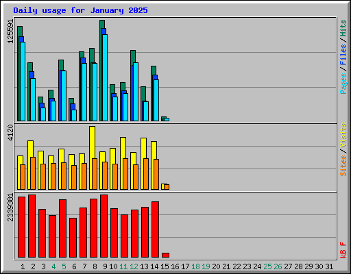 Daily usage for January 2025