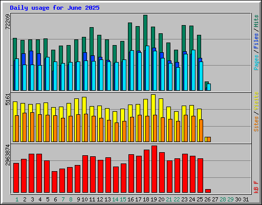 Daily usage for June 2025
