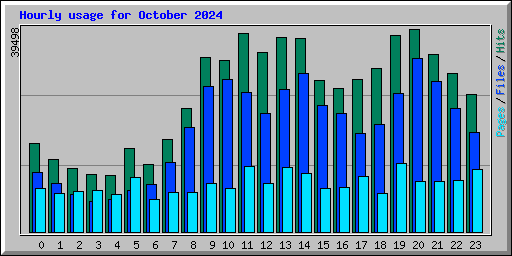 Hourly usage for October 2024