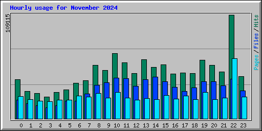 Hourly usage for November 2024