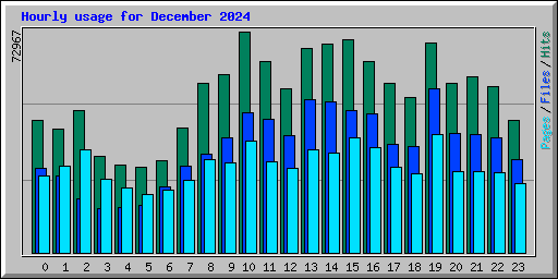 Hourly usage for December 2024