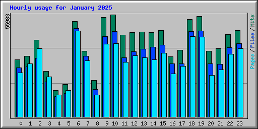 Hourly usage for January 2025