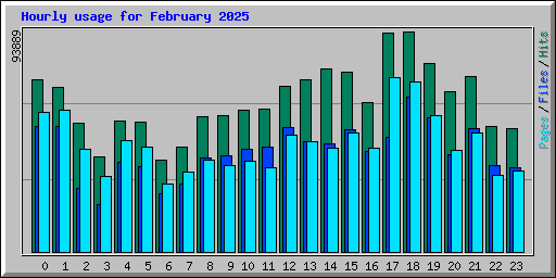 Hourly usage for February 2025