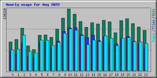 Hourly usage for May 2025