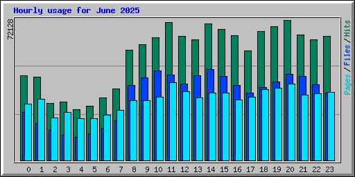 Hourly usage for June 2025