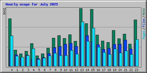 Hourly usage for July 2025