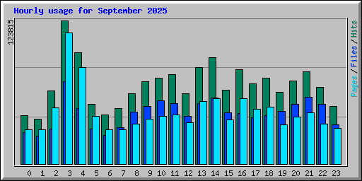 Hourly usage for September 2025
