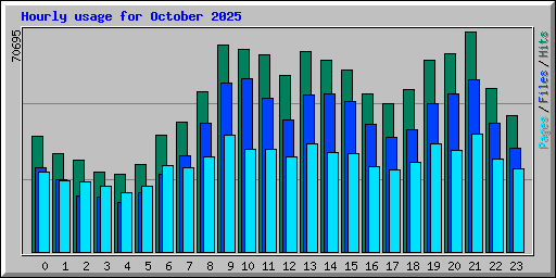Hourly usage for October 2025