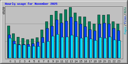 Hourly usage for November 2025
