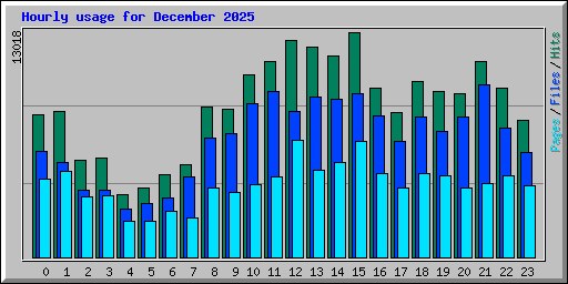 Hourly usage for December 2025